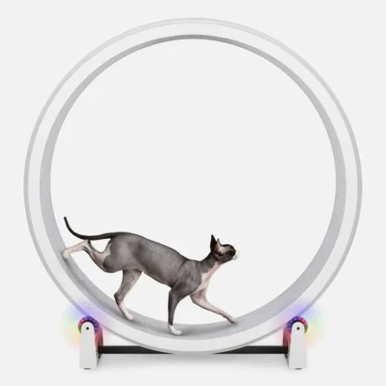 One Fast Cat ,Cat Exercise Wheel – Indoor Running Wheel for Active Cats