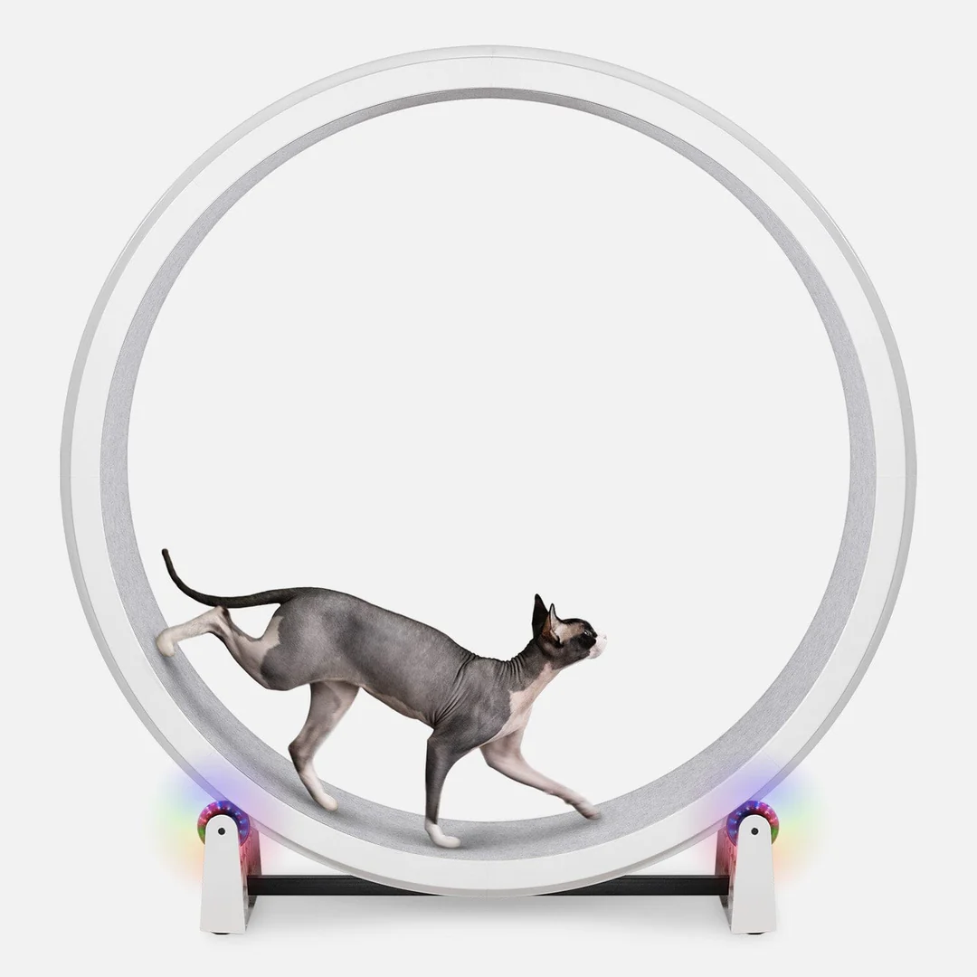 OFC-Cat-Wheel-G7-White-Base-Gray-Felt-Pads-LED