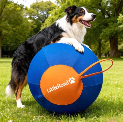 Little Road Shop The Original Herding Ball for Dogs