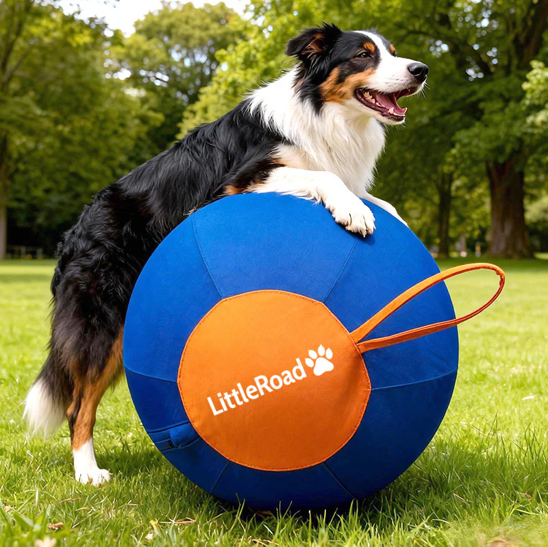 TheOriginalHerdingBallforDogs-01