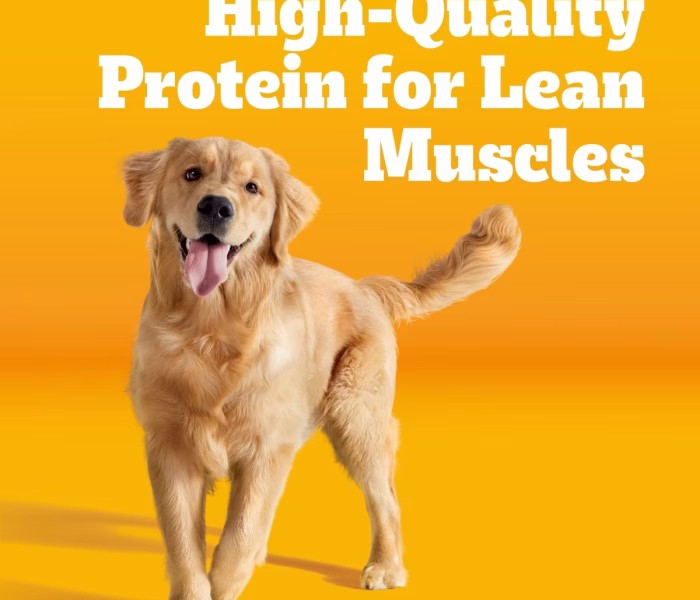 068e6bf4-2ce0-7633-8000-d7ec4503bacb._SL1200_QL100_V1_