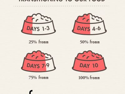 tile_brand-info_feeding-transition_gold-dog-dry