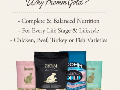 tile_brand-info_gold-dog-dry